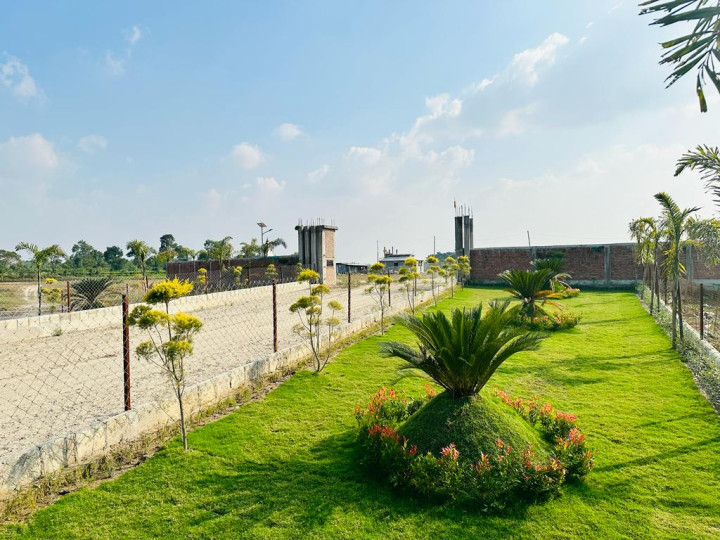 green lush parks